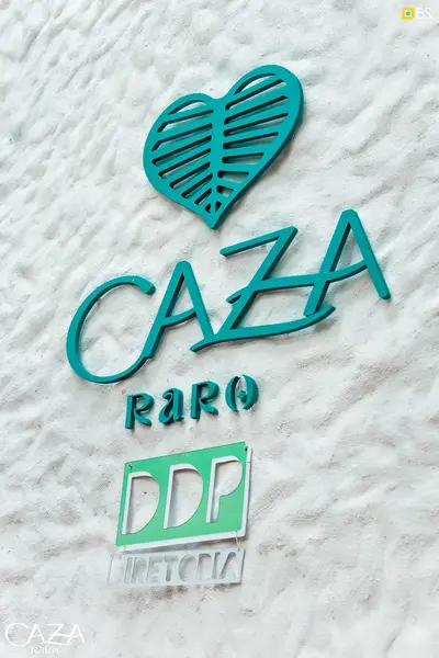 Capa do álbum de 15 de dez. de 2024 na Caza Raro